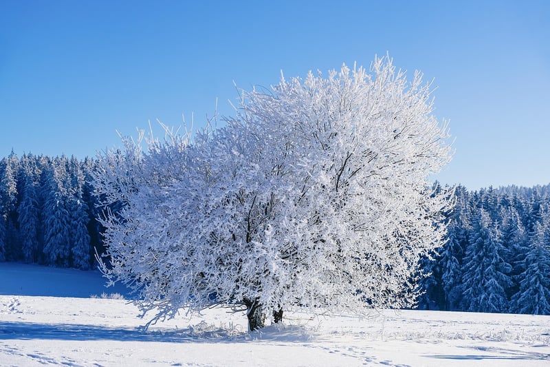 Winter Frost Enchantments
