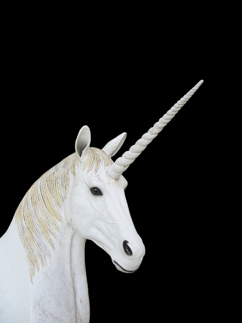 Unicorn Planter Image